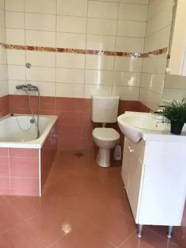 Apartment Antiša