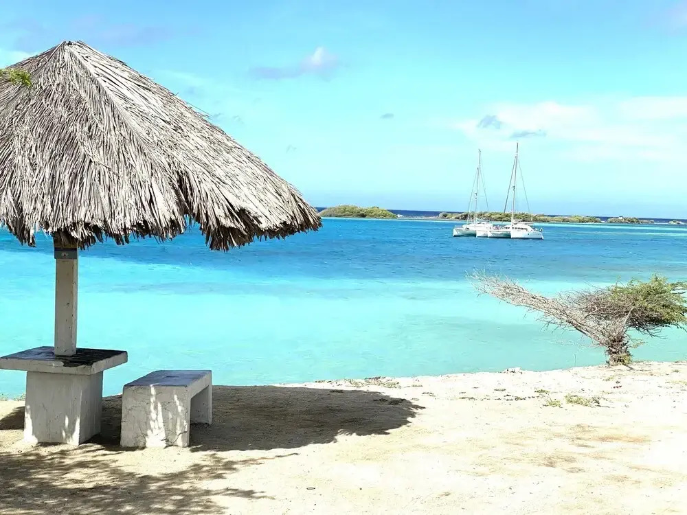 Ocean Front Villa in Aruba - Stunning Full House