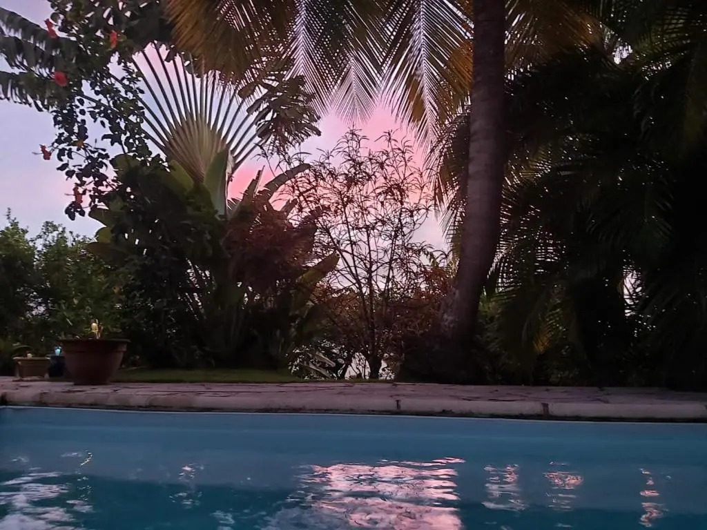 Un séjour privilégié à La Villa Gialla chambre dhôte et loft dans une maison de charme avec piscine à débordement