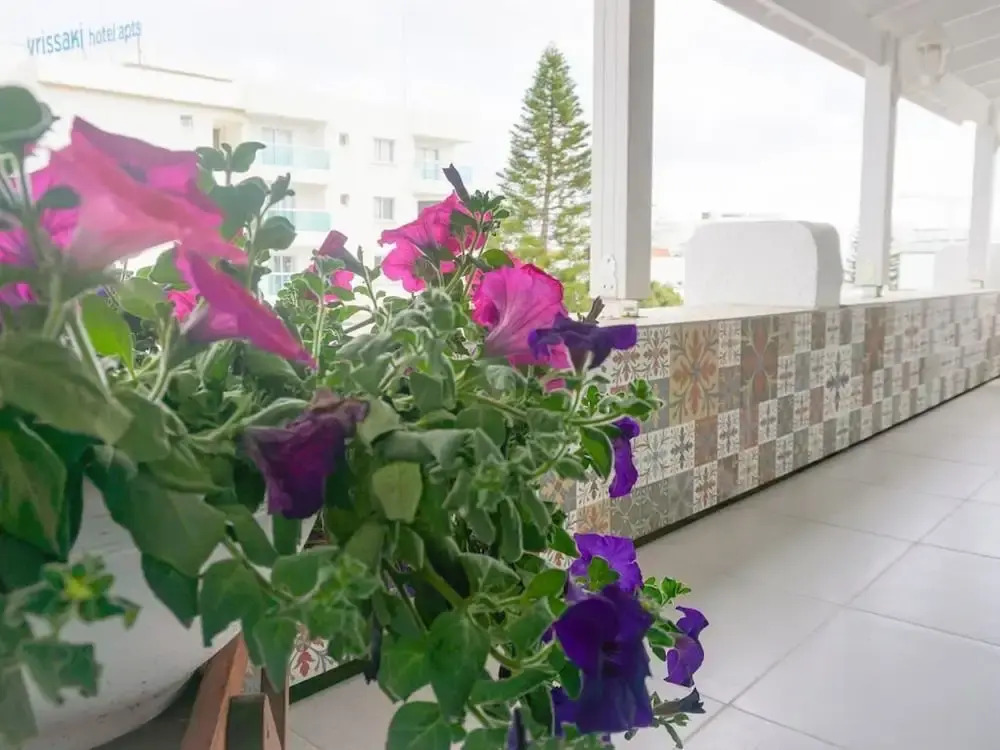 Sonia's Angel House- 300 Meters From the Beach, Newly Renovate Central Apartment