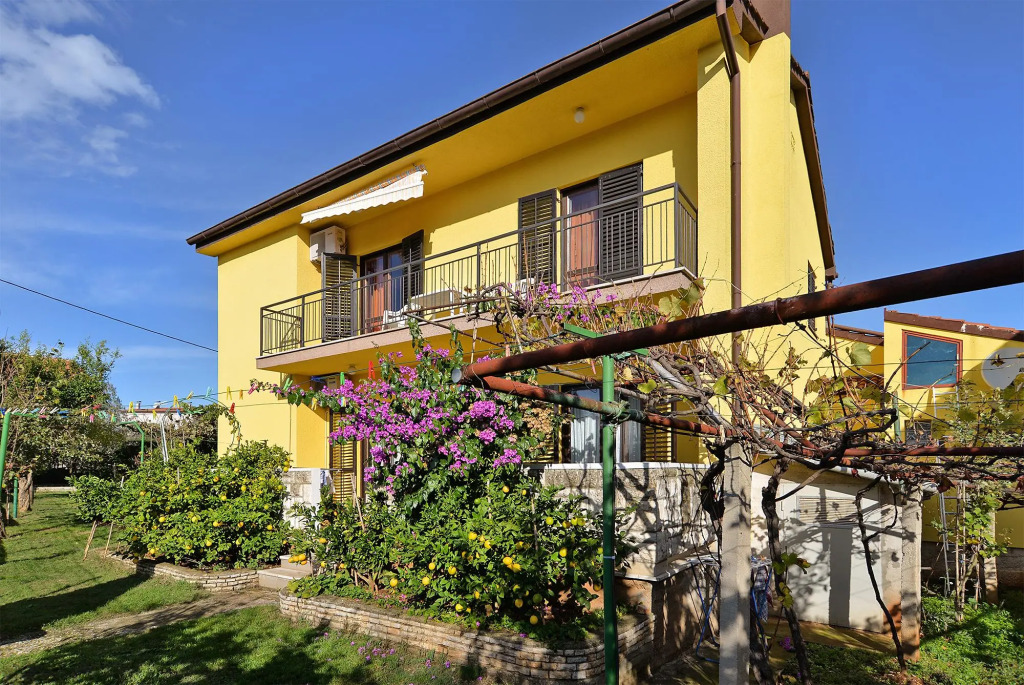 Apartment 1956