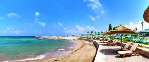 Resort 5 stars Paphos