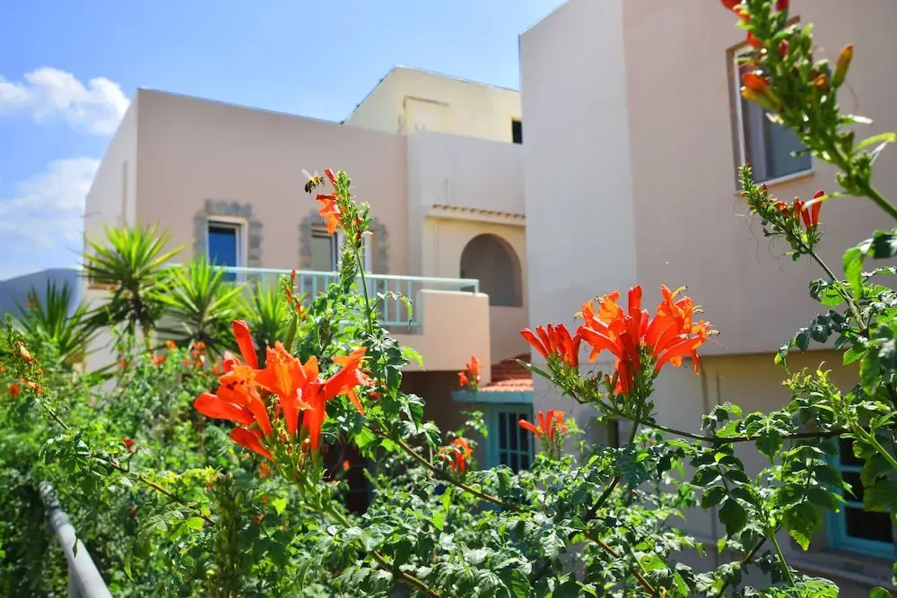Lotus Studios