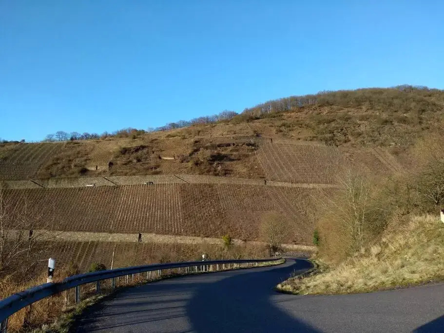 luxury holiday home in Cochem for 4 people