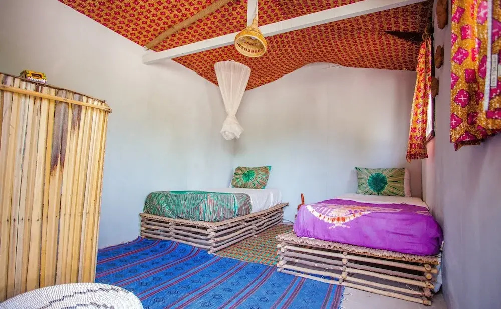 Bonobo Lodge