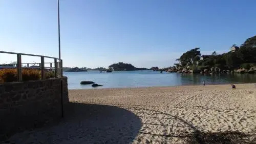 Le Grand Chêne