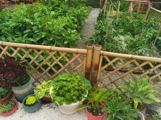 QinShiYue Homestay