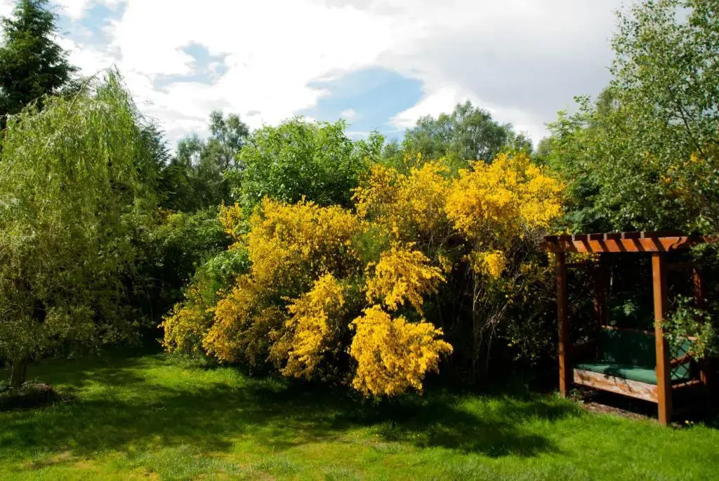Suardal Guest House