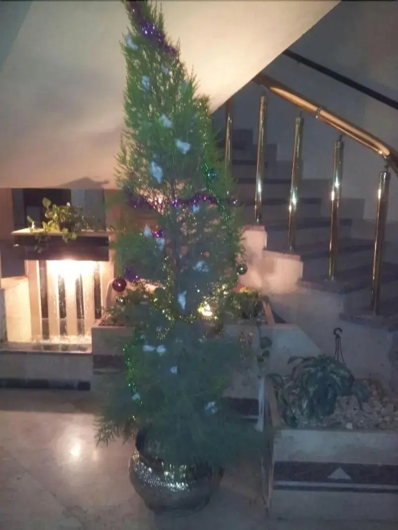 Karnak Hotel Luxor