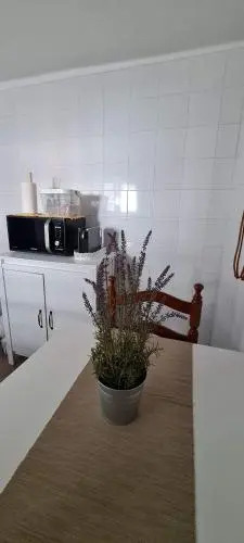 Cantinho Saloio