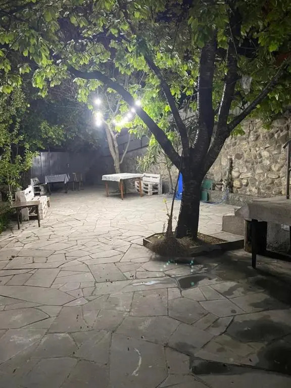 Guest house Sarajishvilze