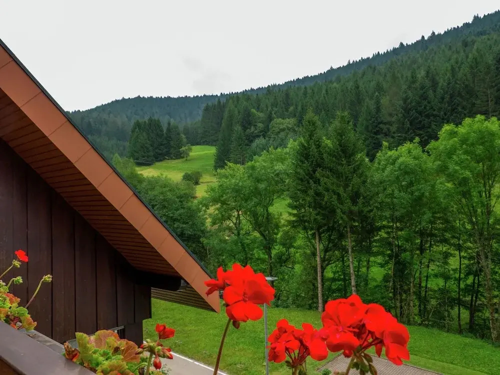 Scenic Apartment in Bad Rippoldsau With Balcony & Parking