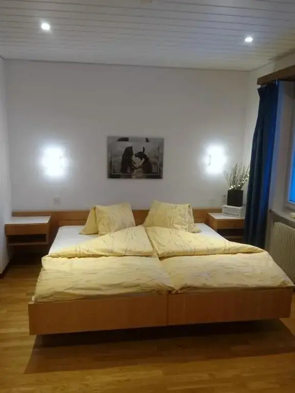 Aparthotel Montana