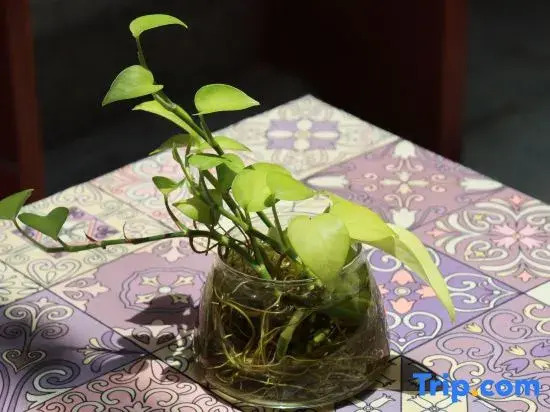 HeXiuYuan
