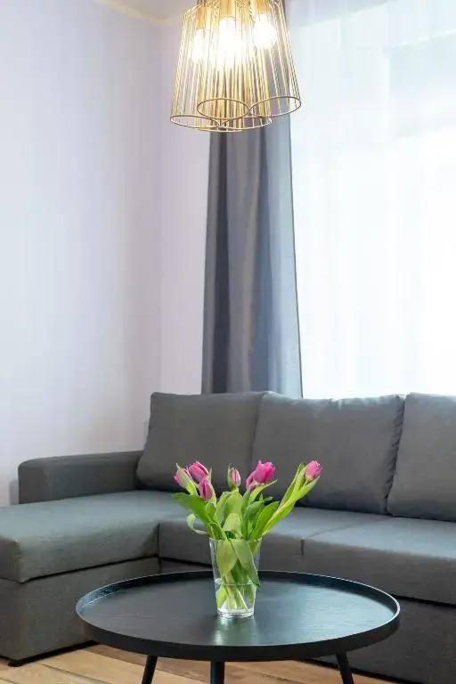 Südalinna apartment