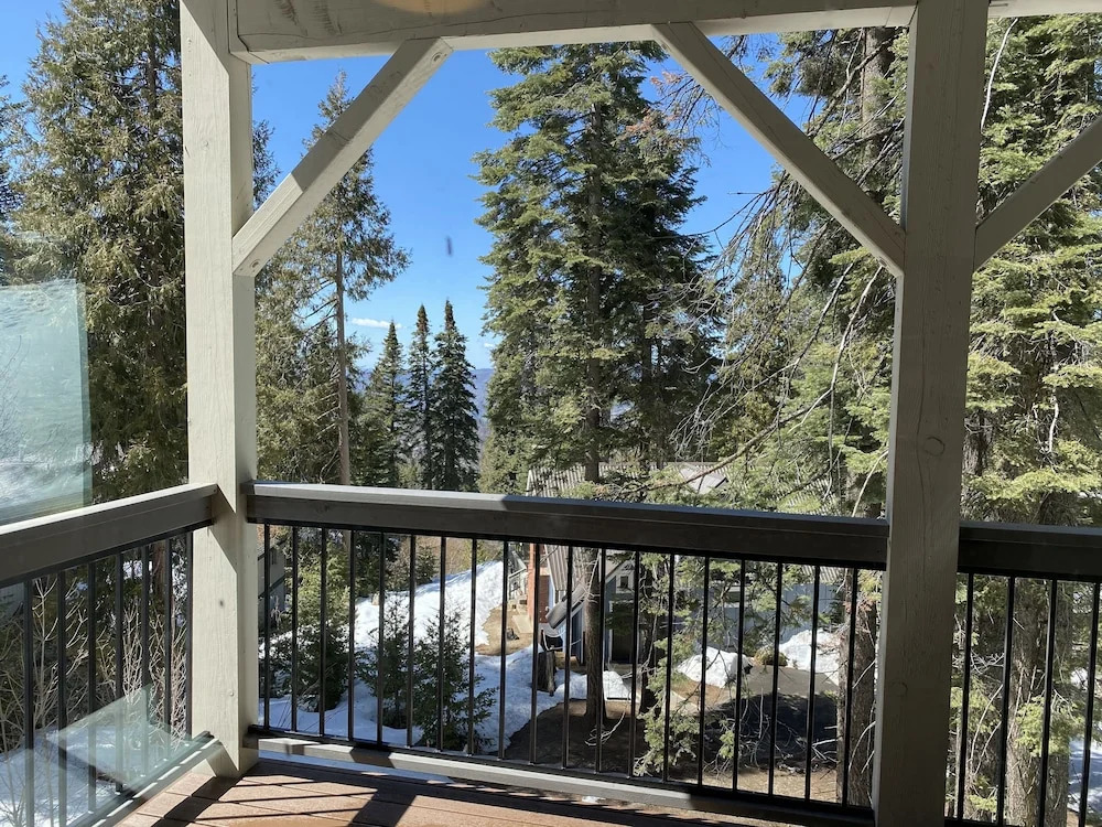 Yosemite's Pine Cove