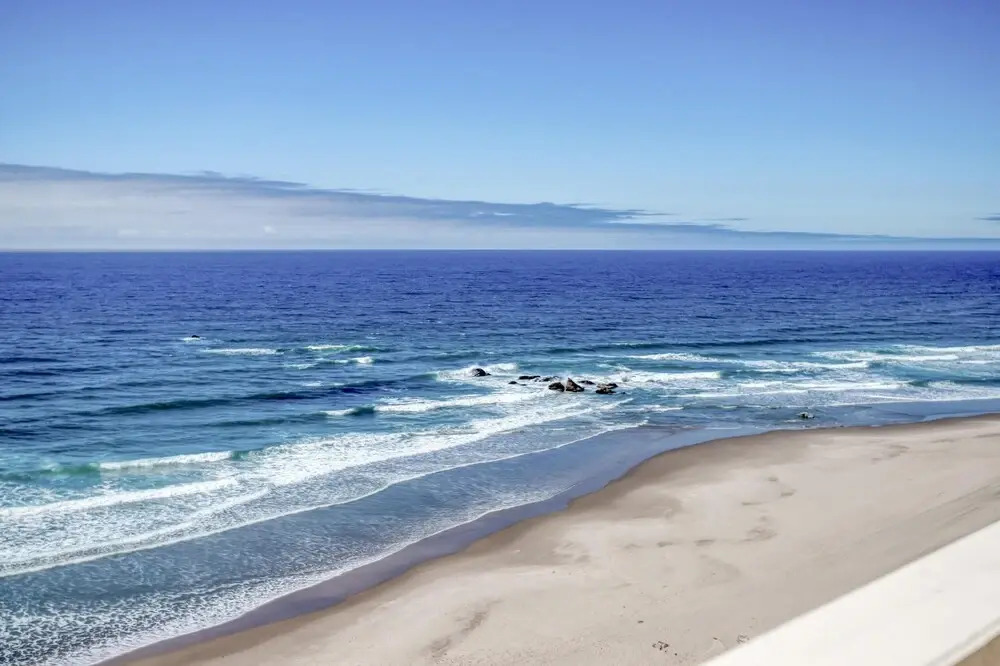 Sea Amor