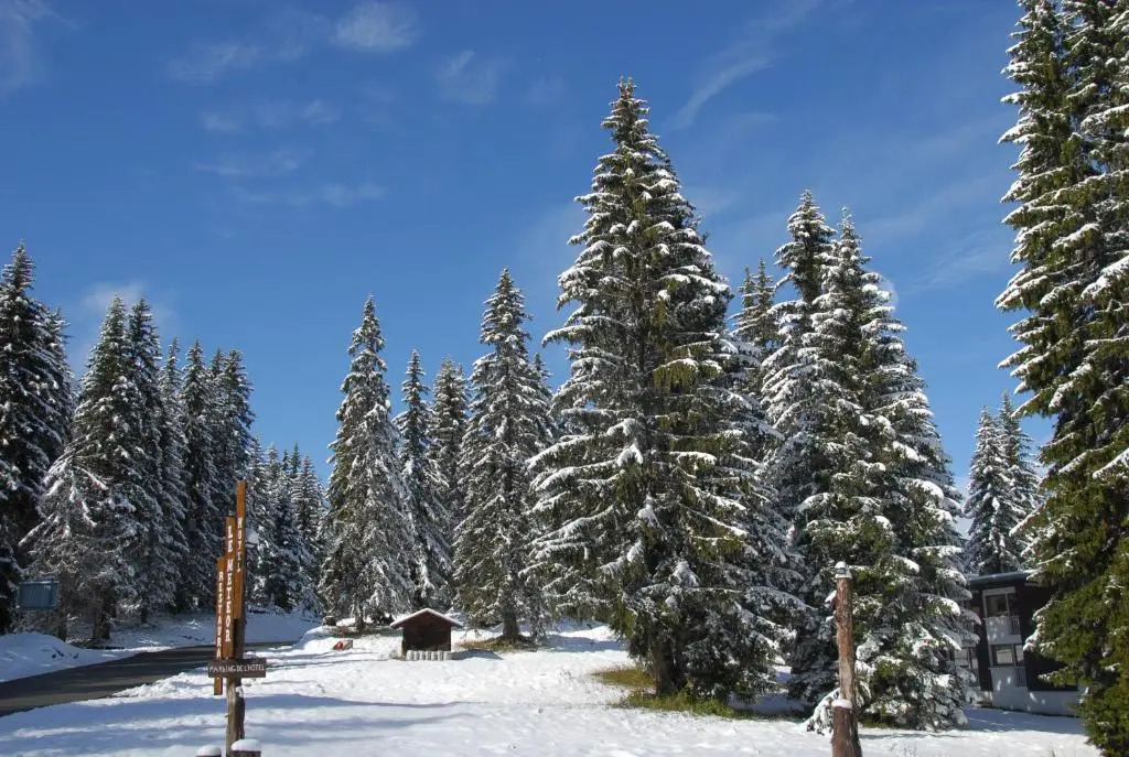 Hôtel Chalet Le Caribou