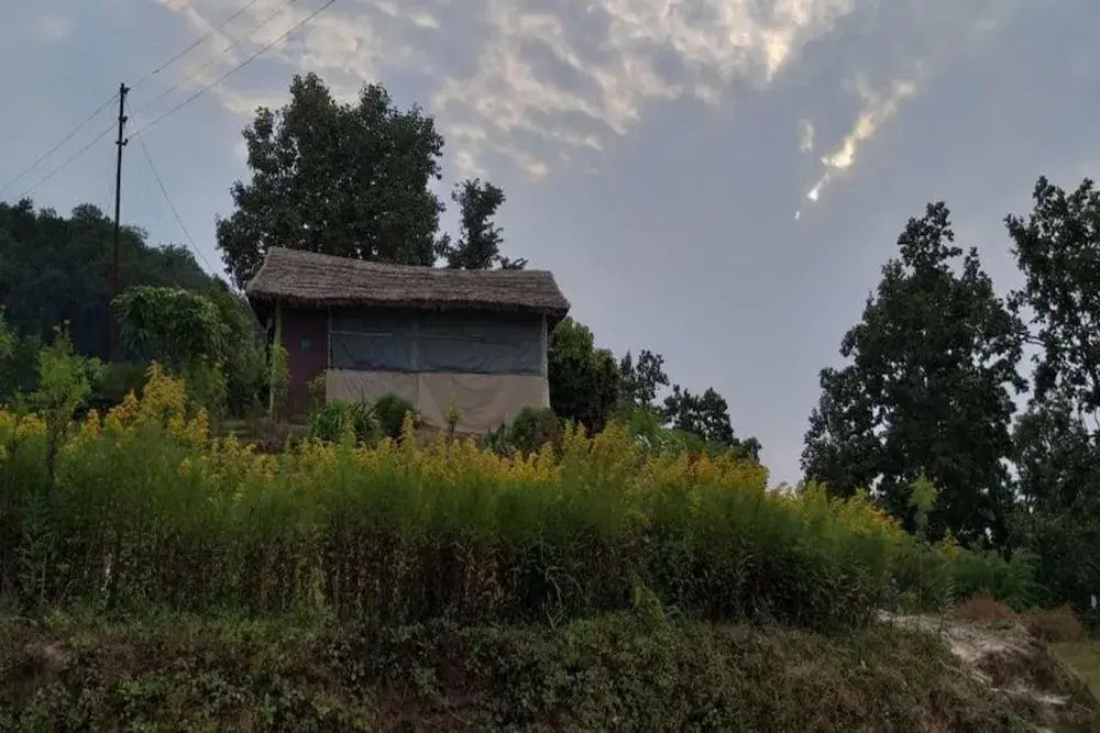 Goroomgo Whistling Woods Camp Nainital
