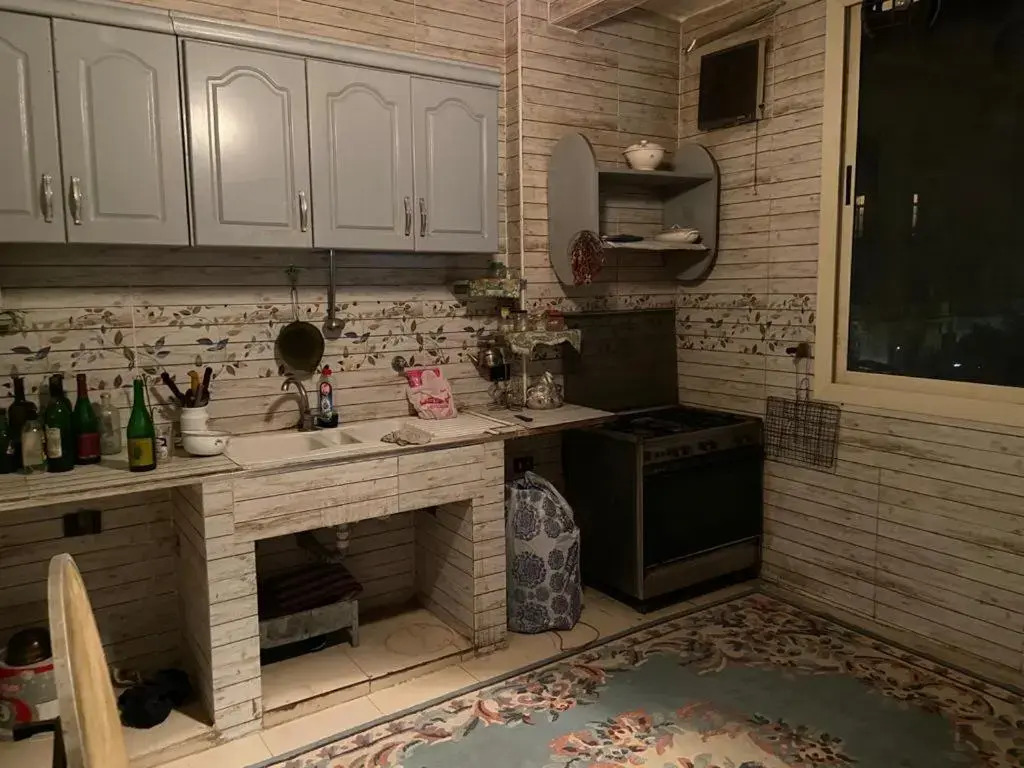 Apartment for renting in cairo, el zamalek
