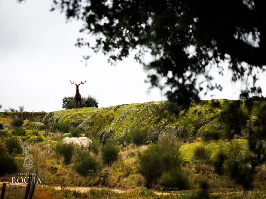 Herdade da Rocha - Boutique Lodge