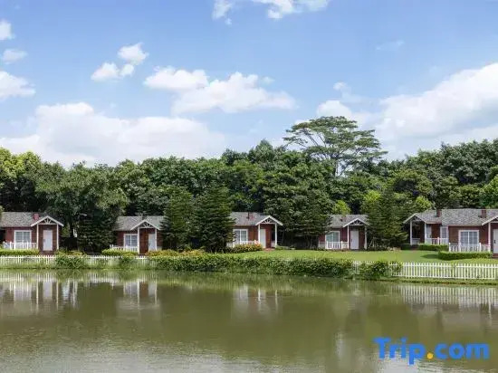 Diyin Lake Lakeside Holiday Wooden House