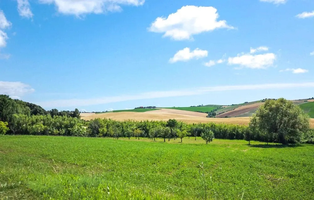 2 Bedroom Amazing Home In Orentano