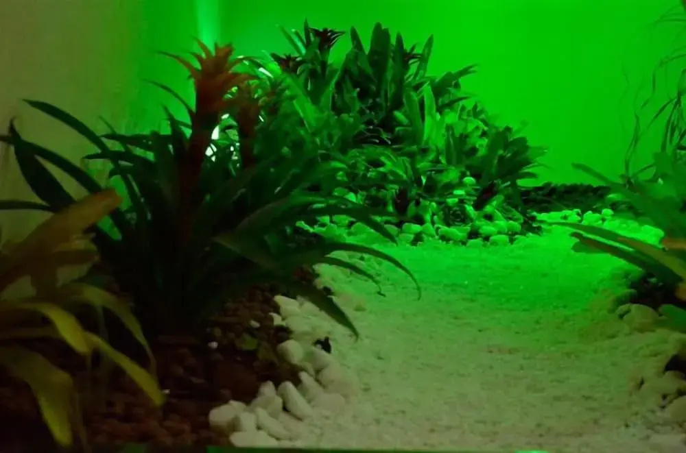 Hotel Brasil