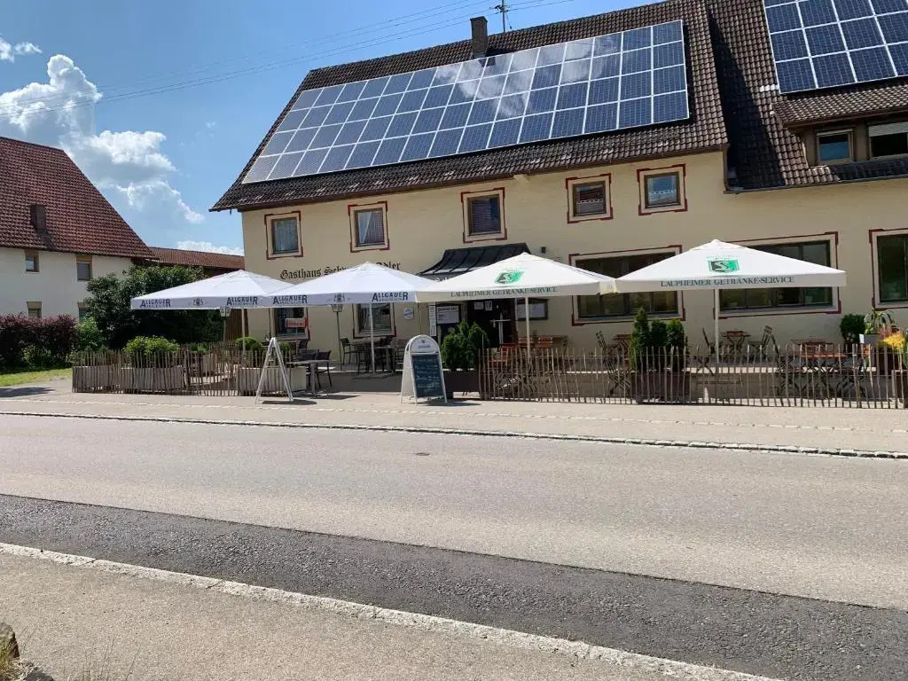 Schwarzer Adler