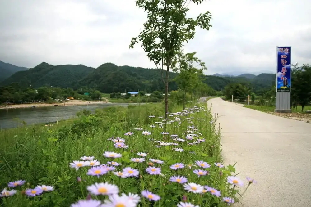 Bluewind Pension