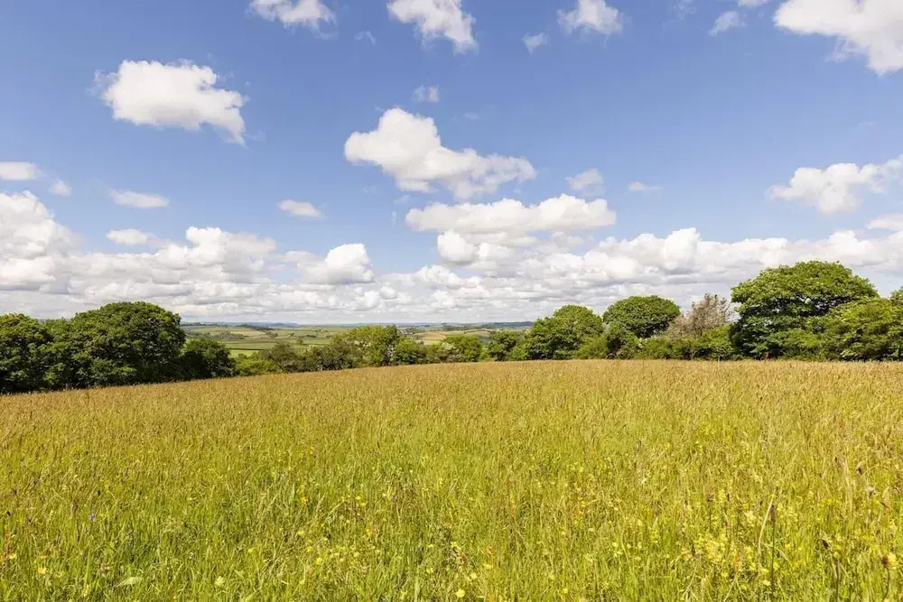 Roundhouse Yurt, Stunning Views, Totnes Dartmouth