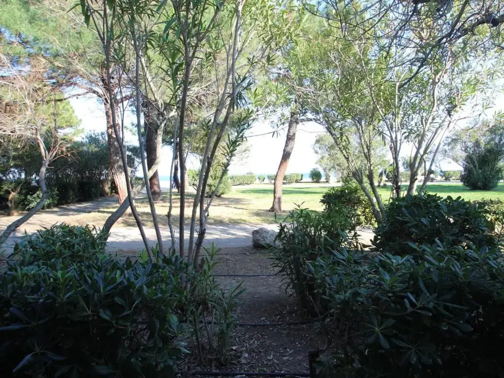 Appartement Argelès-sur-Mer, 2 pièces, 5 personnes - FR-1-309-254