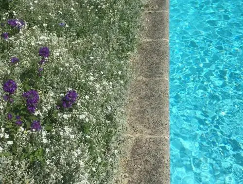 Maison dhôtes Fleurs de Vignes