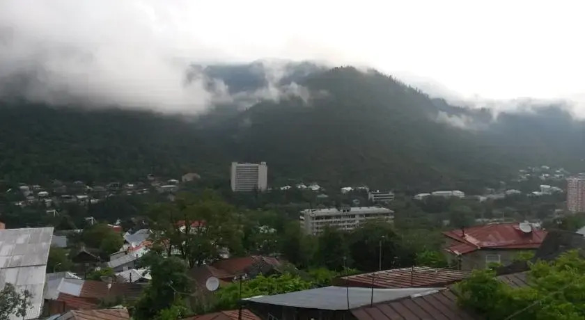 Villa "Borjomi"