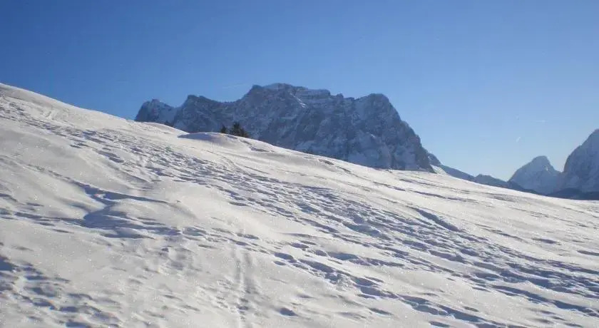 Alpenhof "alt Lähn"