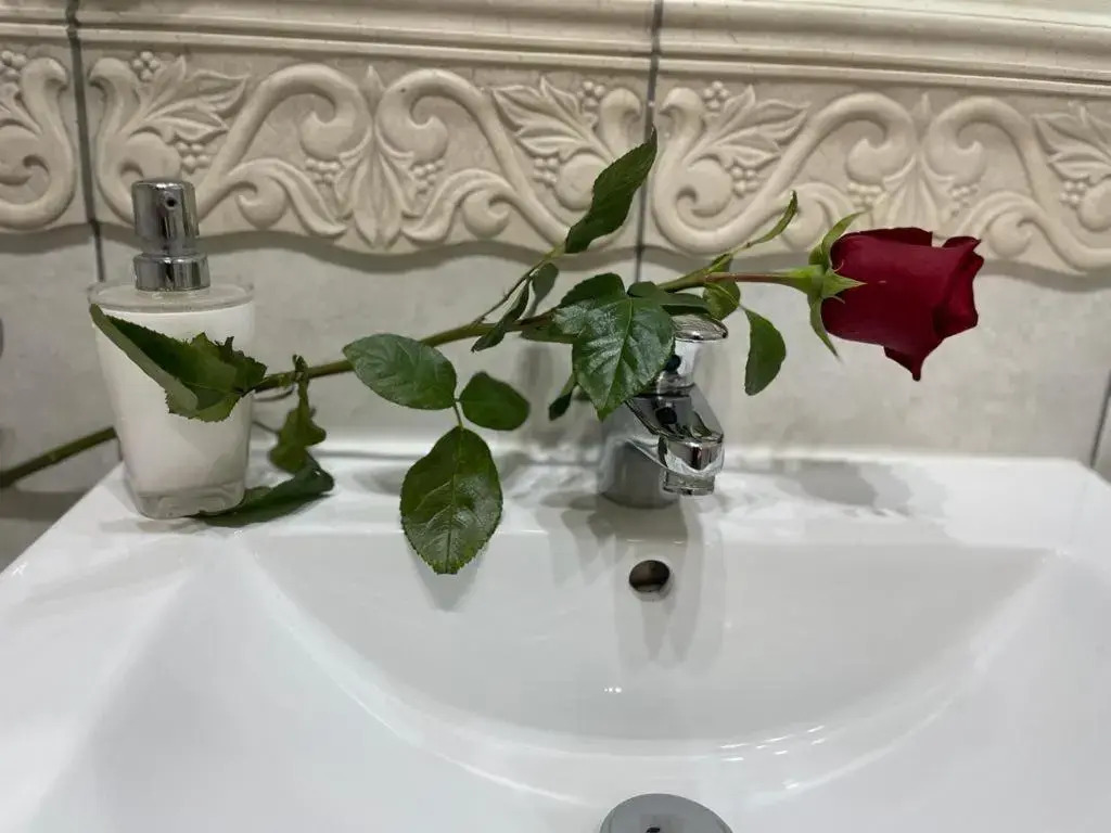 Villa Regina - Spokojna okolica - 100 metrów od lasu - blisko szpitala