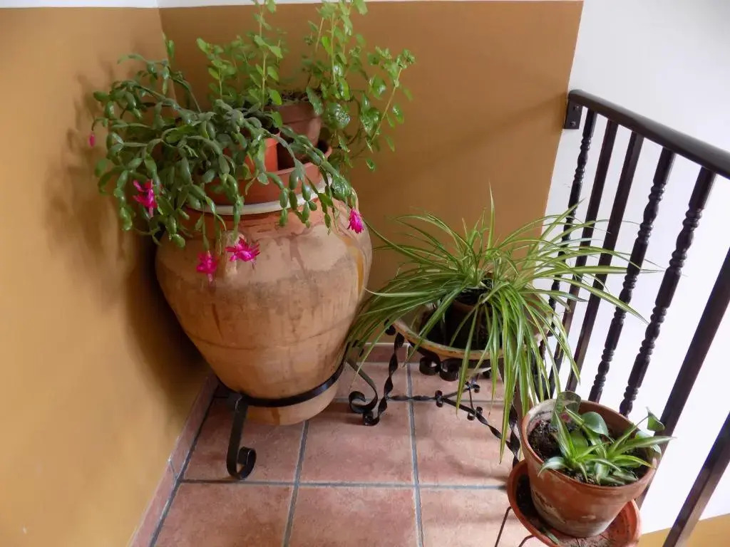 Apartamentos Casa Ferrás