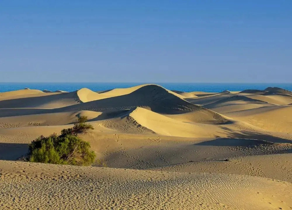 Lavish Villa Near Maspalomas Beach