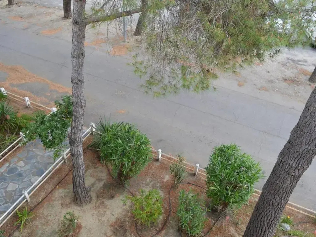 Appartement Argelès-sur-Mer, 2 pièces, 4 personnes - FR-1-225-68