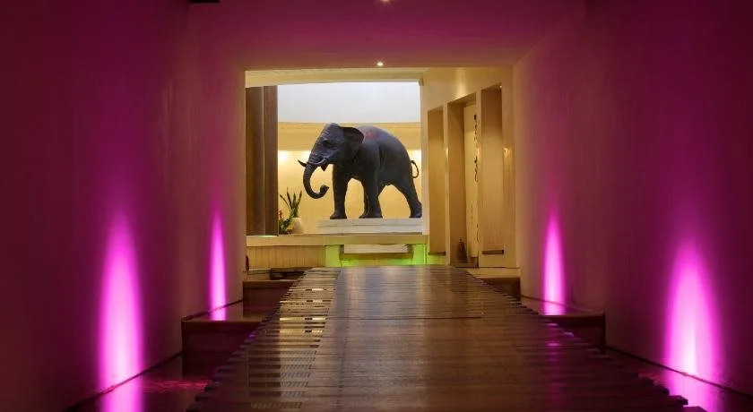 Seaham Hall and Serenity Spa