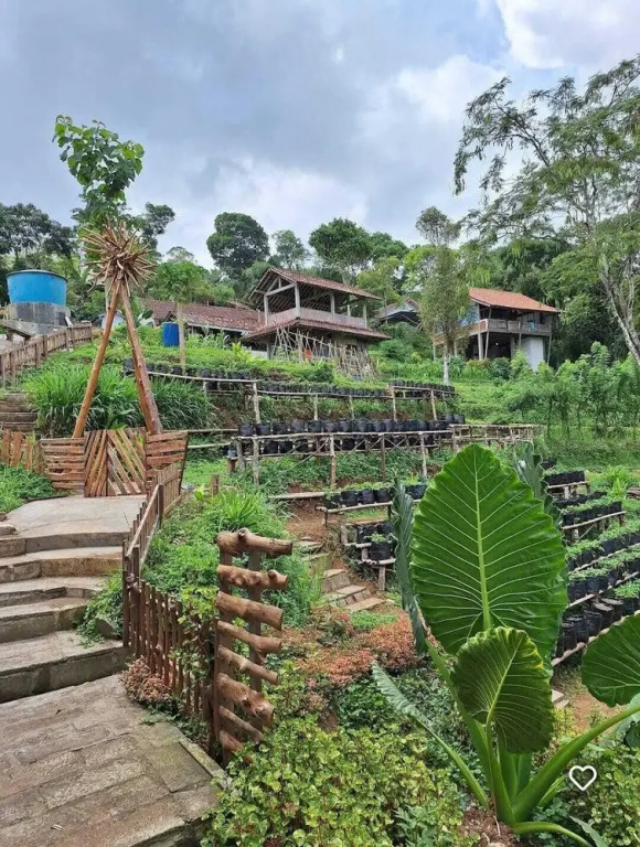 Menoreh Farm Stay Samigaluh Kulonprogo