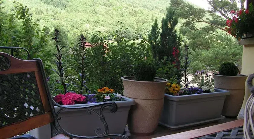 Buhl de Bonheur