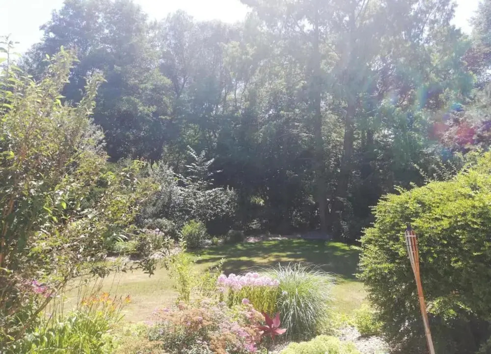 Holiday Home with Garden & Terrace in Bodenwöhr near Hammersee