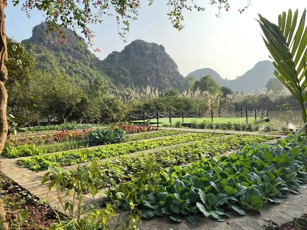 Ninh Hoa Retreat