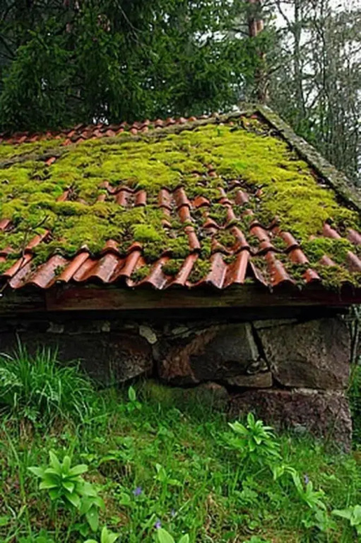 Smultronboda Fårgård