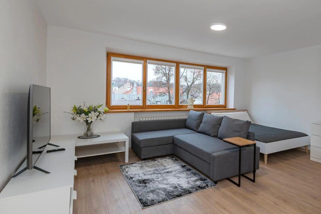 Simplistic apartment near Kaunas Archcathedral