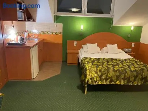 Willa Stenia Center Apartamenty