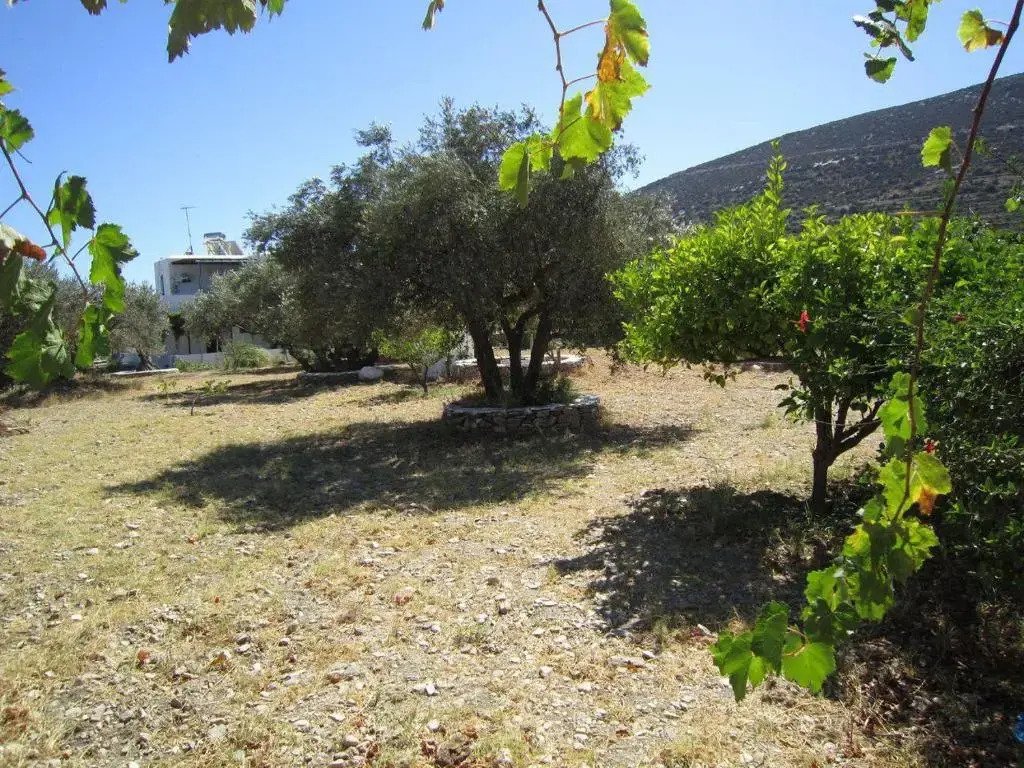 Elisso Villas