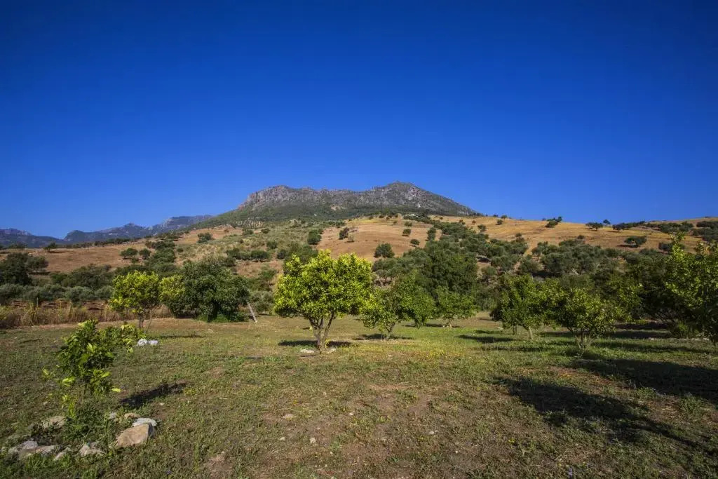 Cortijo, Grazalema, piscina, 5 Hbts con baño, AC