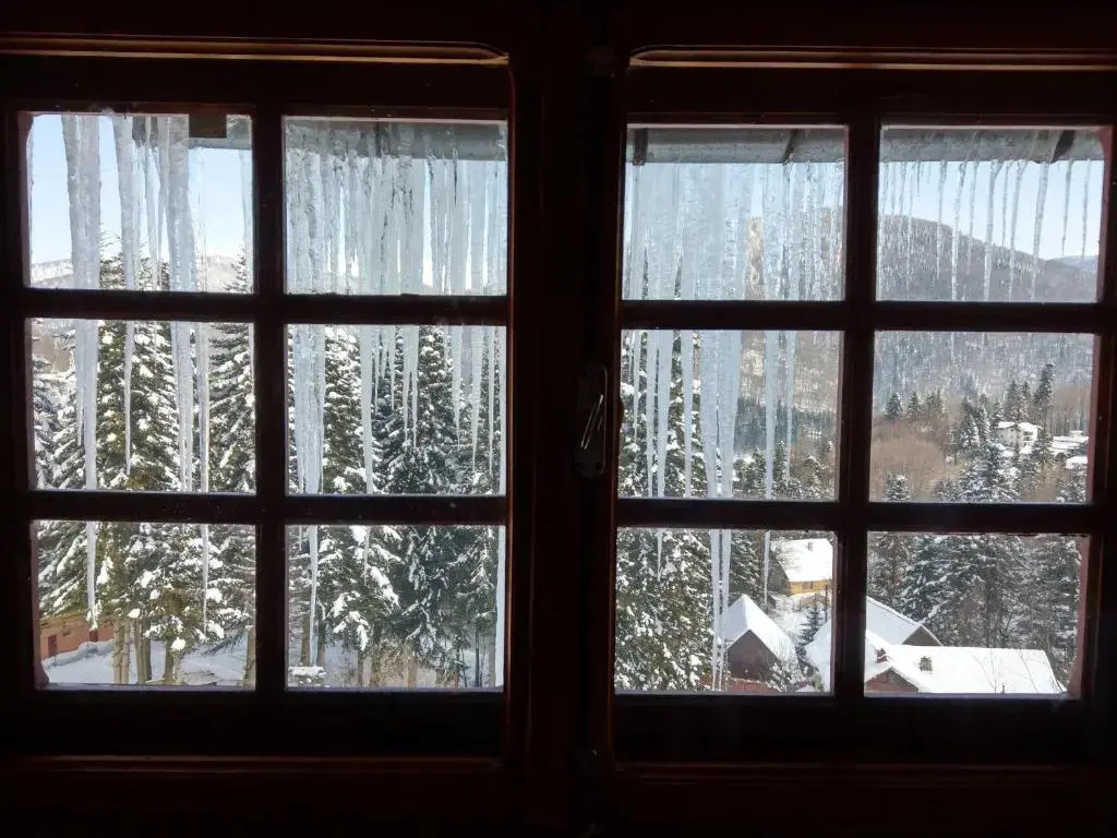 Grandpa's hidden crib, 6 bedroom, pet friendly